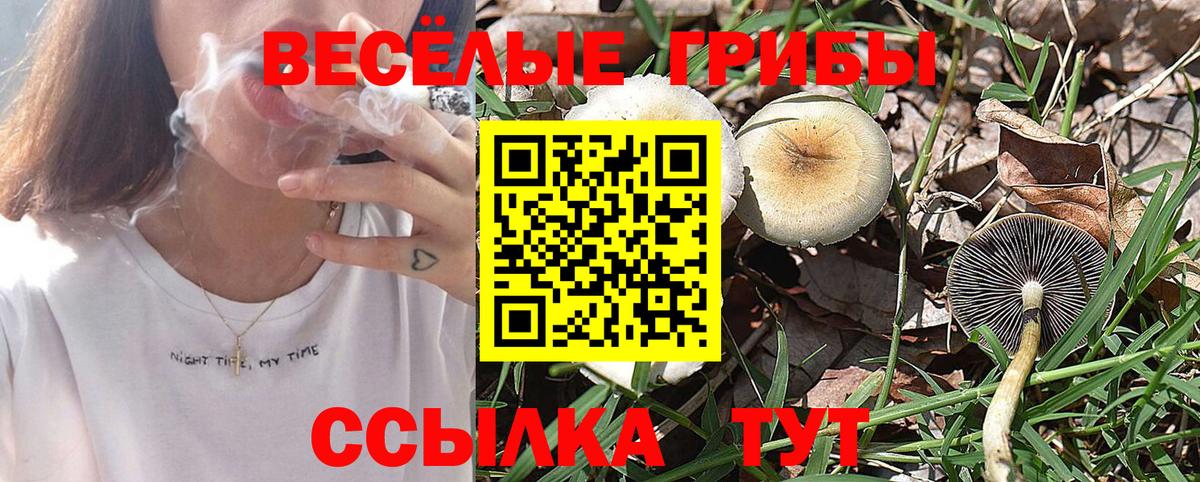Вятские Поляны  Галлюциногенные грибы ЛСД  Вход с VPN 